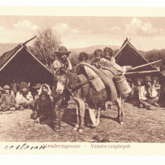 4197 - SIBIU, Ethnics Gypsy, Romania - old postcard - unused - 1917