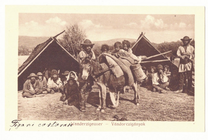 4197 - SIBIU, Ethnics Gypsy, Romania - old postcard - unused - 1917