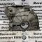 Capac distributie BMW E90,F30,F32,F10,X5 N57 335d,535d 313cp