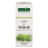 TINCTURA MARAR TM 50ML, Plantextrakt