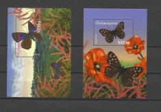 TURKMENISTAN 2002 FAUNA INSECTE FLUTURI foto