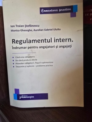 Regulamentul intern. Indrumar pentru angajatori si angajati - Ion Traian Stefanescu foto
