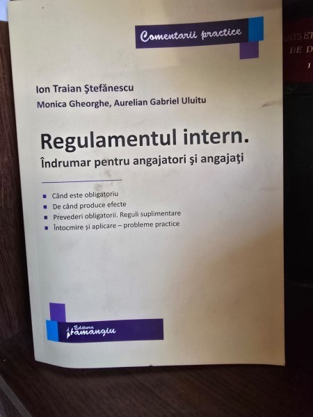 Regulamentul intern. Indrumar pentru angajatori si angajati - Ion Traian Stefanescu