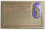 MEDALIE PLACHETA CAMP CAMPIONATUL INTERNATIONAL BUCURESTI COMITETUL PENTRU CULTURA FIZICA SI SPORT DE PE LANGA CONSILIUL DE MINISTRI BRONZ SI EMAIL