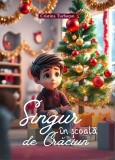 Singur &icirc;n școala de Crăciun, Poveste pentru copii, Cristina Turbuțan