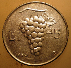 1.803 ITALIA STRUGURI 5 LIRE 1950 foto