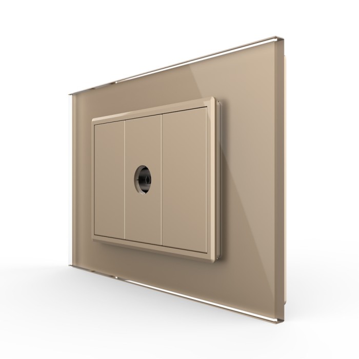 Priza Simpla TV Livolo cu Rama din Sticla - Serie Noua SmartElectro IntelligentHouse