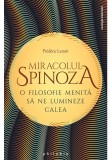 Miracolul Spinoza: o filosofie menita sa ne lumineze calea - Philobia