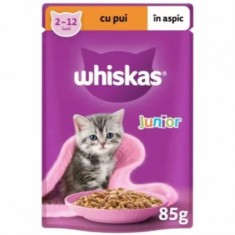 Whiskas Junior, plic hrana umeda pentru pisici, pui in aspic, 85 gr