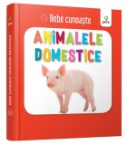 Cumpara ieftin Animalele Domestice, - Editura Gama