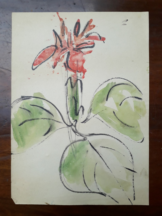 33. Floare - Planta, acuarela veche pictura