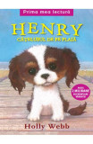 Henry, catelusul de pe plaja - Holly Webb