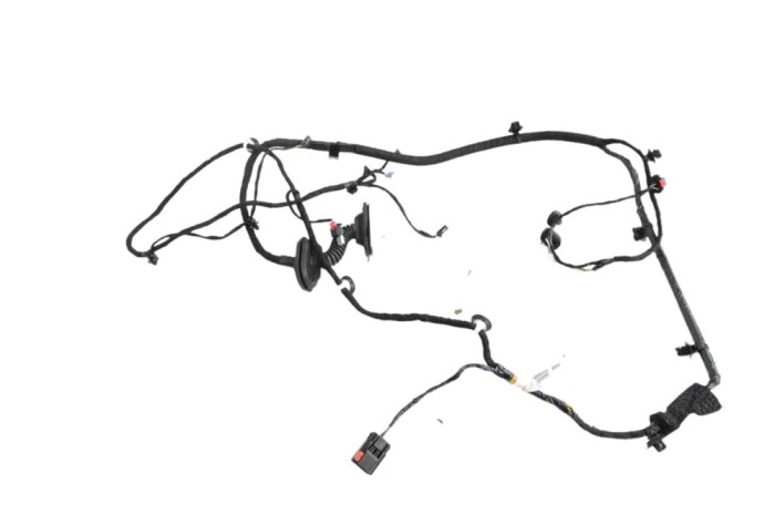 Cablaj ușă dreapta spate TESLA MODEL Y 2023 OEM: 1489054-00-E 22598655