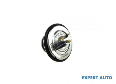 Termostat BMW Seria 7 (1994-2001) [E38] #1 foto