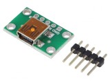 Adaptor Şiruri Pini USB B Mini