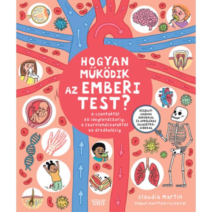 Hogyan műk&ouml;dik az emberi test? - A csontokt&oacute;l az idegrendszerig, a szervrendszerektől az &eacute;rz&eacute;kel&eacute;sig - Claudia Martin