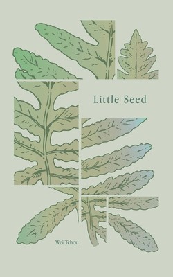 Little Seed foto