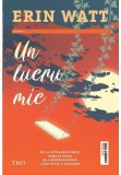 Cumpara ieftin Un lucru mic