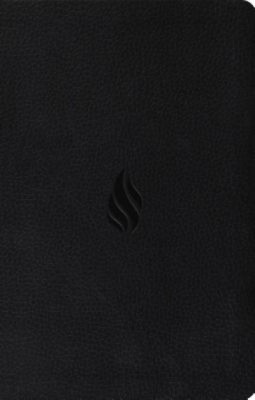 Premium Gift Bible-ESV-Flame Design foto