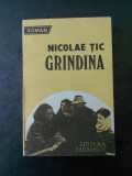 NICOLAE TIC - GRINDINA