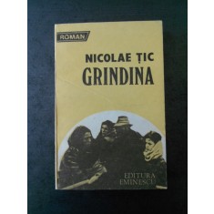 NICOLAE TIC - GRINDINA