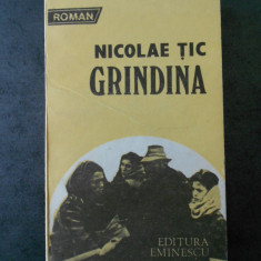 NICOLAE TIC - GRINDINA