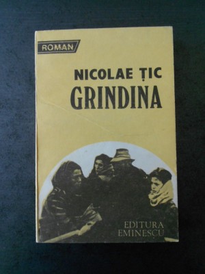NICOLAE TIC - GRINDINA foto