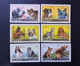 Fujeira (Emiratele Arabe Unite) 1972 Fauna C&acirc;ini și Pisici Serie Completa 6v Ștampilat - A90
