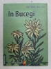 In Bucegi Partea I - Nestor Urechia, 2019, Geografie, Romania Pitoreasca, Carte