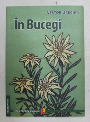 IN BUCEGI , PARTEA I de NESTOR URECHIA , 2019 foto