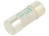 Siguranță aM 2A 690V 22x58mm, DF Electric