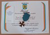 QW17 20 - Medalia crucea comemorativa - cel de-al doilea RM - cu brevet