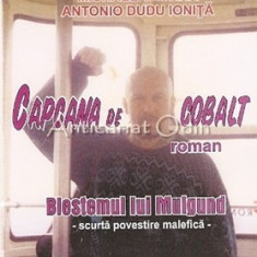 Capcana De Cobalt. Roman - Isabel De Aavrich, Michaela Zorra,Antonio Dudu Ionita