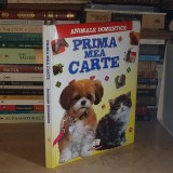 PRIMA MEA CARTE : ANIMALE DOMESTICE , ILUSTRATII , 2016 ( TIPARITA IN UCRAINA ) *