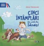 Cinci &Icirc;nt&acirc;mplări Din Viața Lui Săndel, Alexei Vaculovschi - Editura Prut