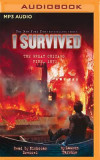 I Survived the Great Chicago Fire, 1871: Book 11 of the I Survived Series