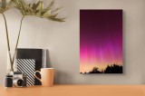 Tablou Canvas, "Aurora magică pe cerul nopții", Northern, Lights, Sky, Stars, Pink, Purple, Trees, Horizon, 26 x 39 cm, CMCLASS