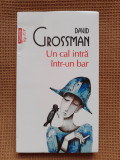 David Grossman - Un cal intra intr-un bar
