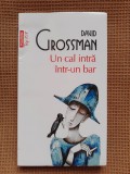 David Grossman - Un cal intra intr-un bar, 2018, Polirom