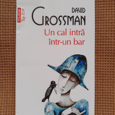 David Grossman - Un cal intra intr-un bar
