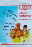 Algebra. Structuri fundamentale pentru liceu