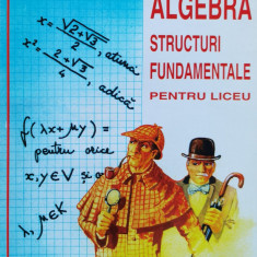 Algebra. Structuri fundamentale pentru liceu