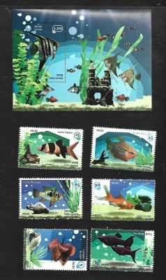 cuba pesti mnh foto