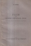 St. Bezdechi - Fileb sau despre supremul bine. Introducere la un dialog
