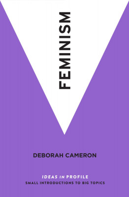 Debborah Cameron - Feminism viata femeilor sex cultura drepturi munca feminismul foto