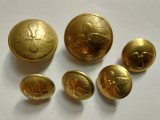 Lot de 6 nasturi militari vechi-aviatie,Armata Romana.