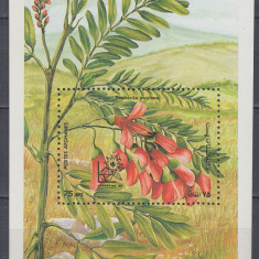 AFGANISTAN 1985 FLORA ARGENTINA 85 BLOC MNH