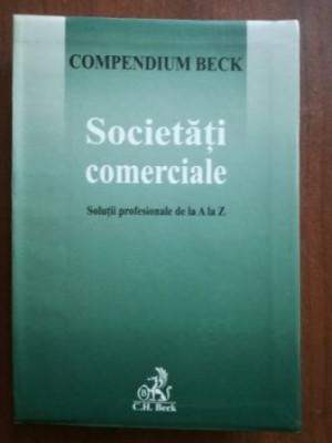 Societati comerciale Solutii profesionale de la A la Z foto