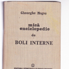 MICA ENCICLOPEDIE DE BOLI INTERNE