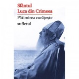 Patimirea curateste sufletul - Sfantul Luca din Crimeea